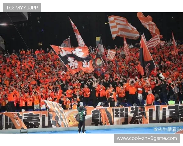 球迷自发：打造“最狂热”的观赛氛围，球迷看球赛